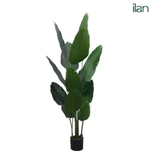 travellers-plam-artificial-plant-1000x1000